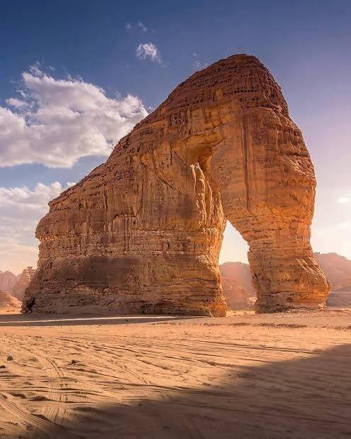 العلا
